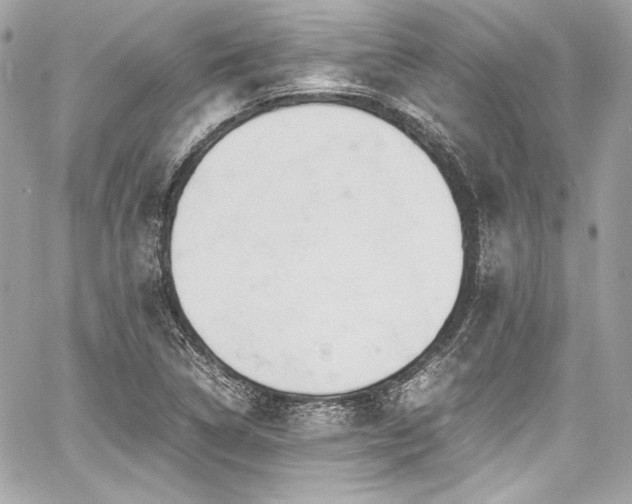 X0000060751314200511101105