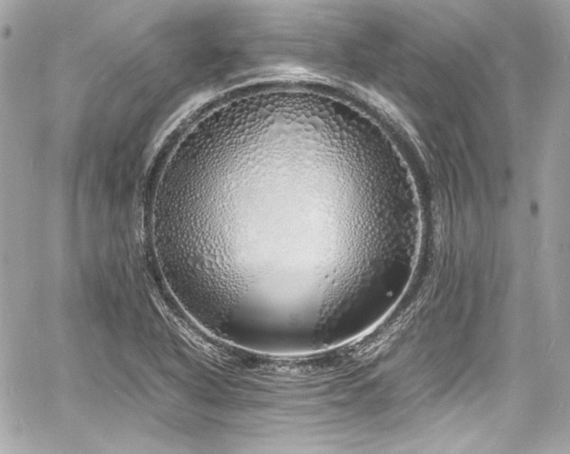 X0000060751318200511101105