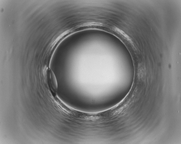X0000060751321200511101105