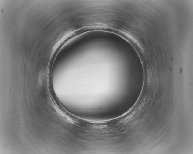 X0000060751325200511101105