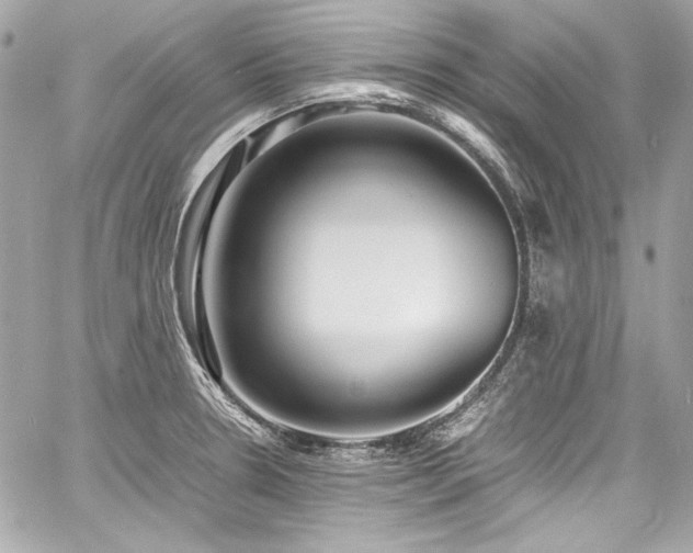 X0000060751330200511101105