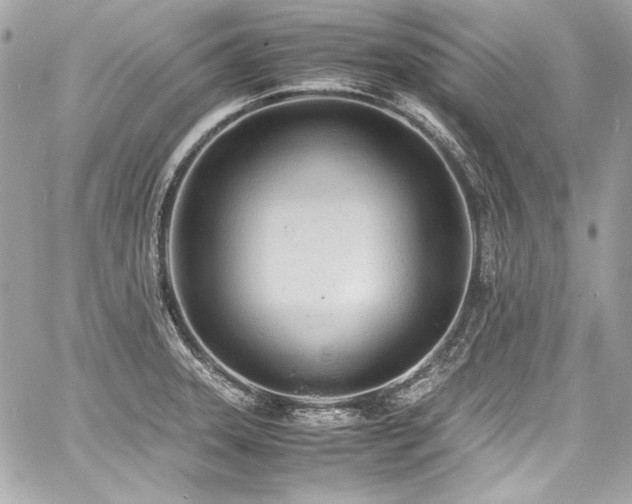 X0000060751331200511101105