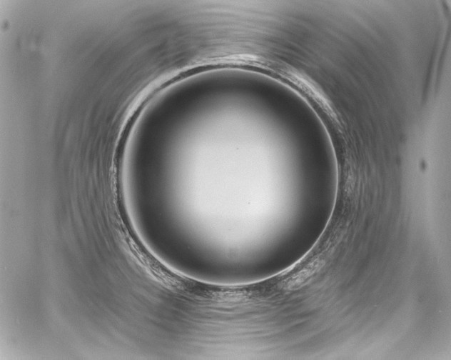 X0000060751332200511101105