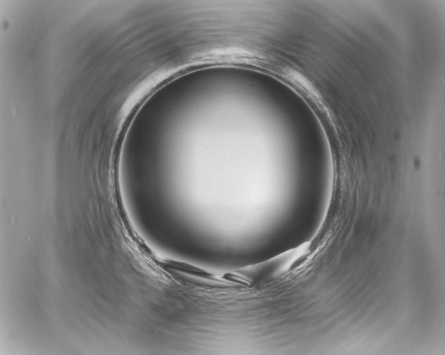 X0000060751336200511101105