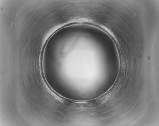 X0000060751343200511101106