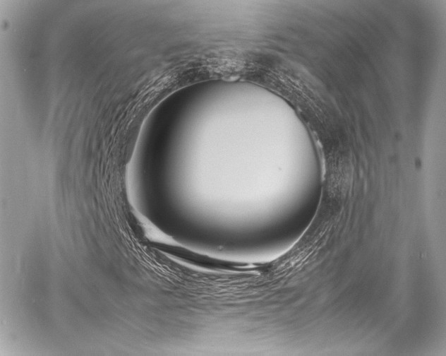 X0000060751345200511101105