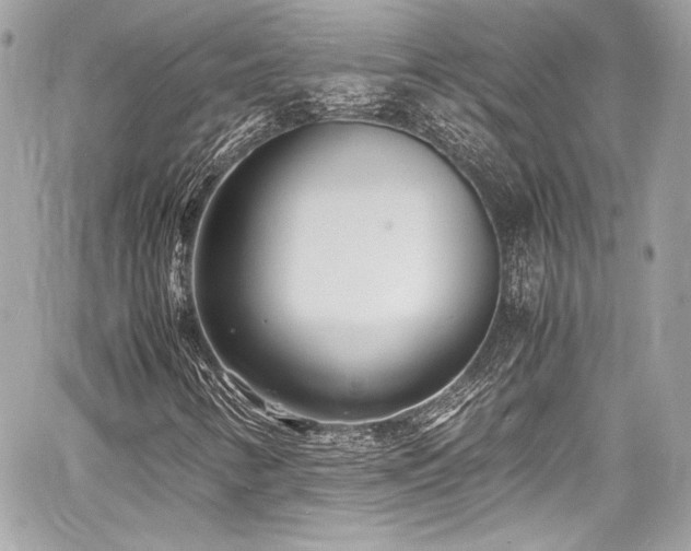 X0000060751346200511101105