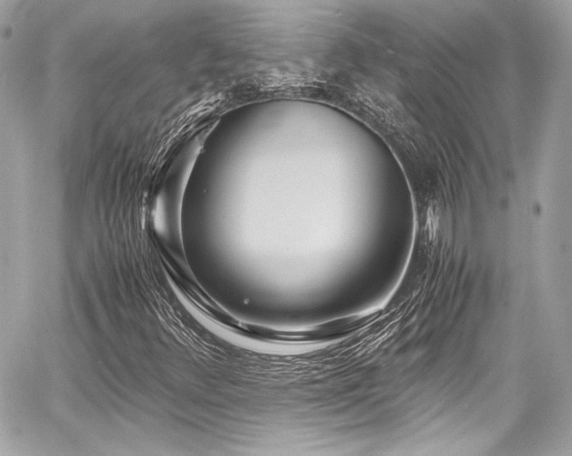 X0000060751348200511101105