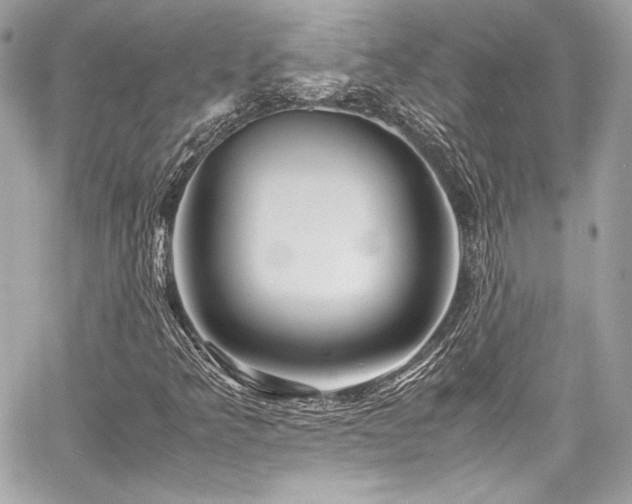 X0000060751349200511101105