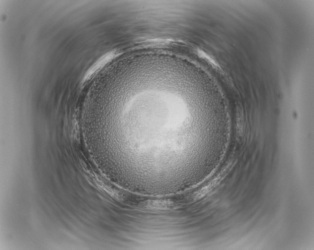 X0000060751354200511101105