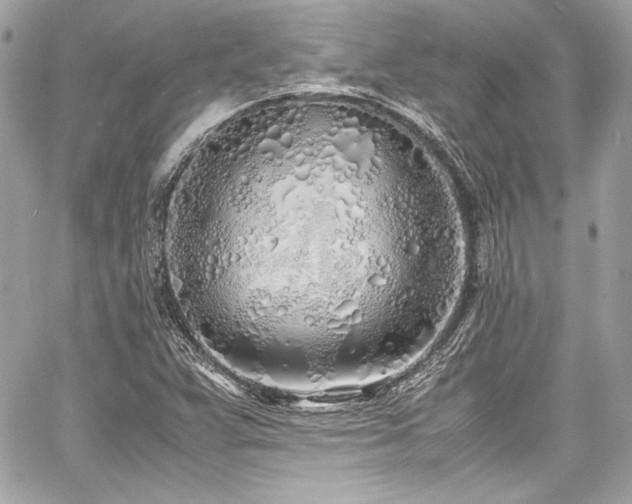 X0000060751359200511101104