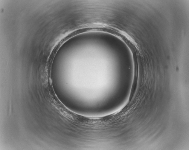 X0000060751364200511101104