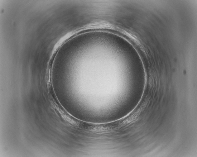 X0000060751366200511101104