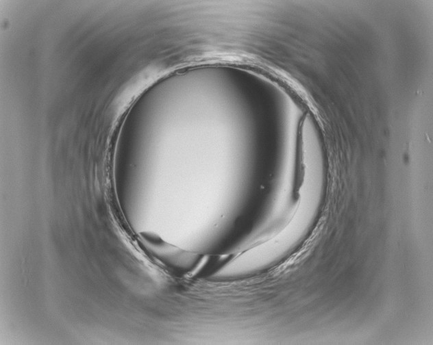 X0000060751373200511101104