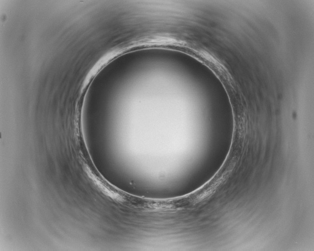 X0000060751374200511101104