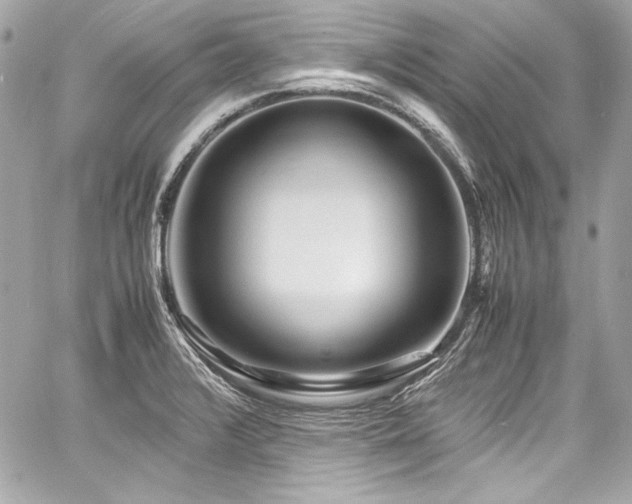 X0000060751376200511101104