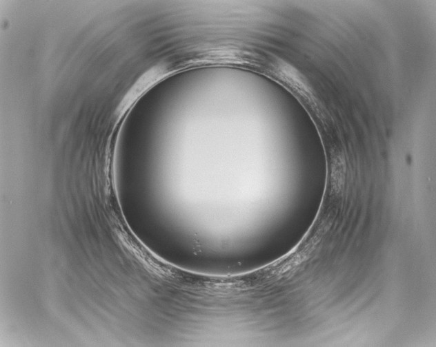 X0000060751378200511101104