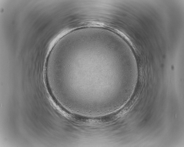 X0000060751379200511101104
