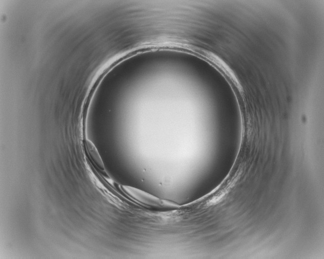 X0000060751388200511101104