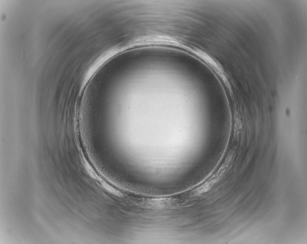 X0000060751390200511101104