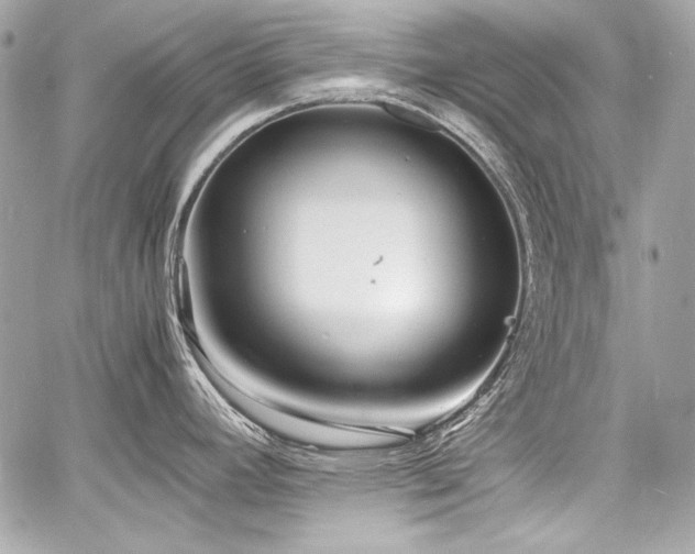 X0000060751392200511101104