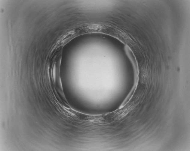 X0000060751394200511101103