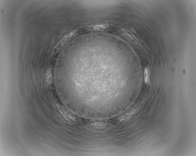 X0000060751395200511101103