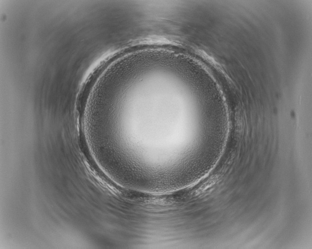X0000060751408200511101103