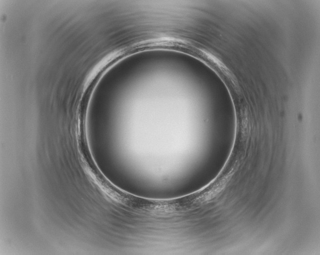 X0000060751418200511101104