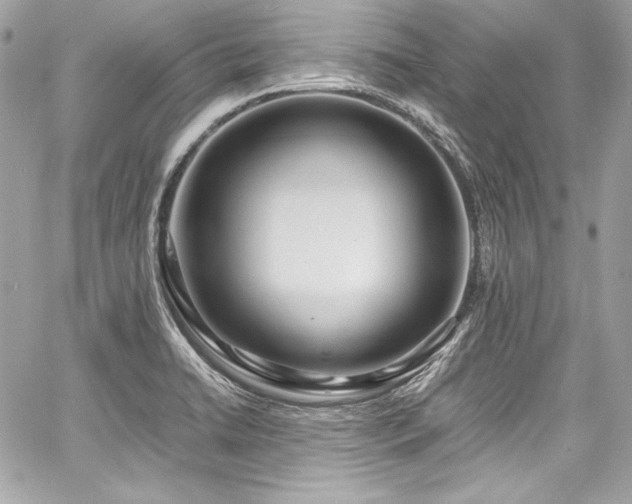 X0000060751422200511101104
