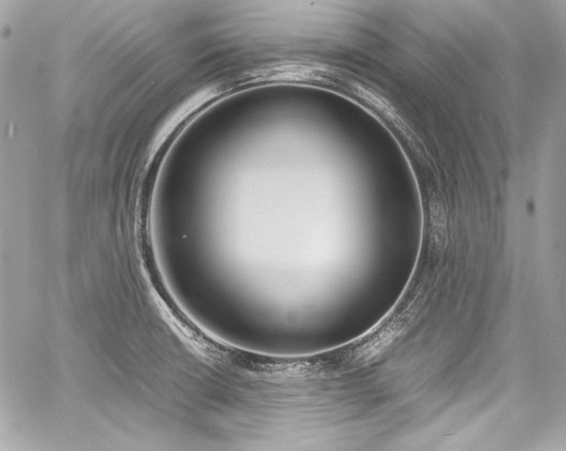 X0000060751426200511101104