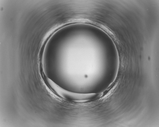X0000060751430200511101104