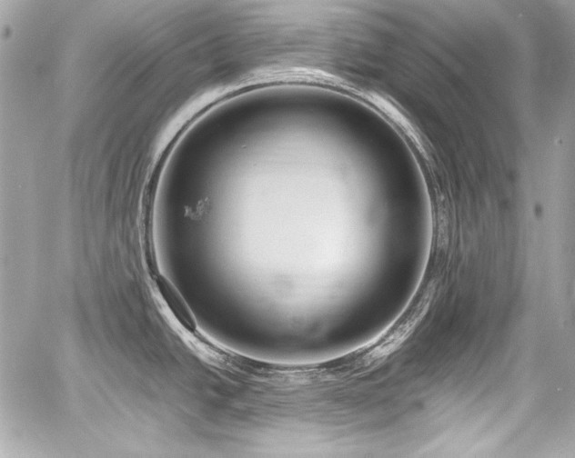 X0000060751438200511101104