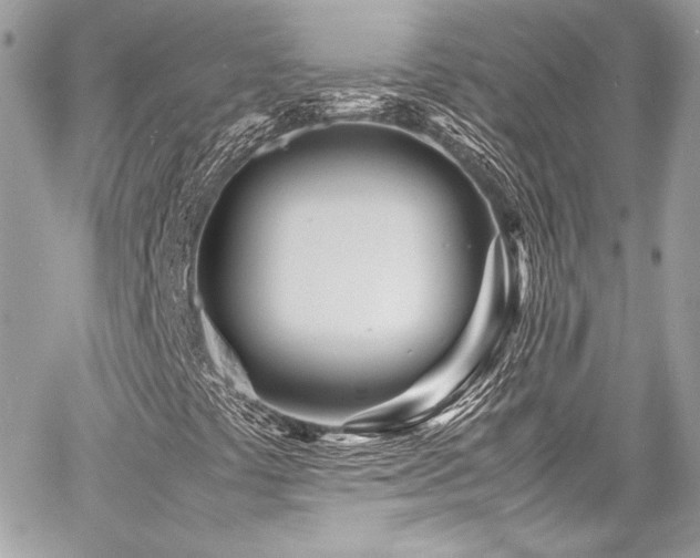 X0000060751441200511101103