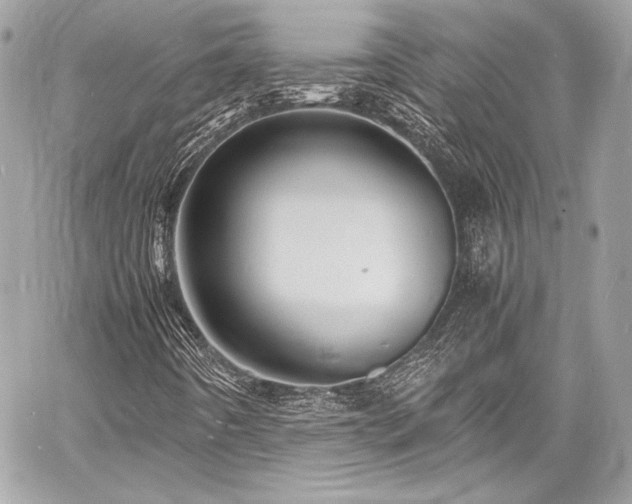 X0000060751442200511101103