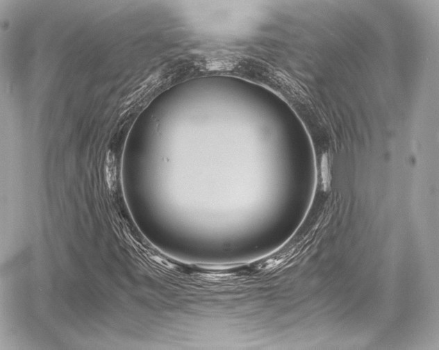 X0000060751443200511101103