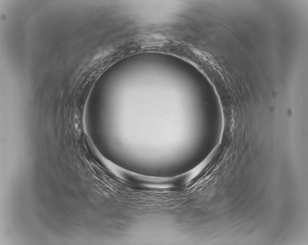X0000060751445200511101103