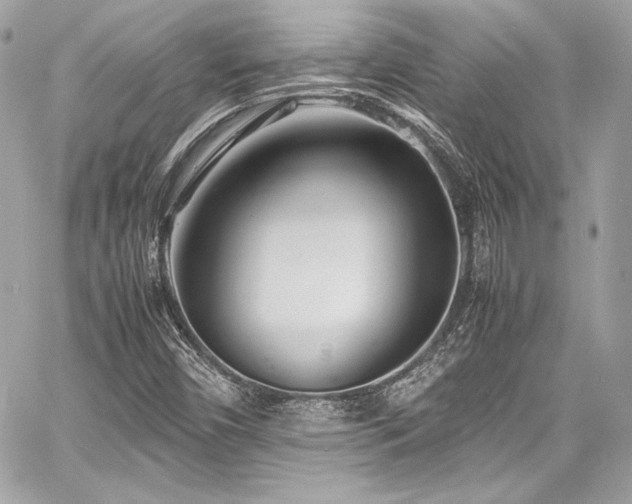 X0000060751450200511101103