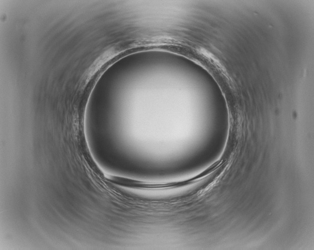 X0000060751457200511101103