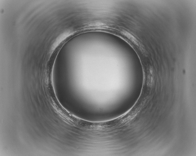 X0000060751458200511101103