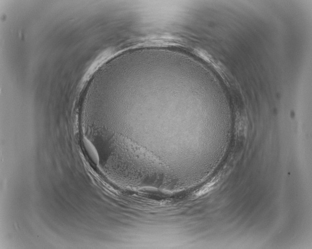 X0000060751459200511101103