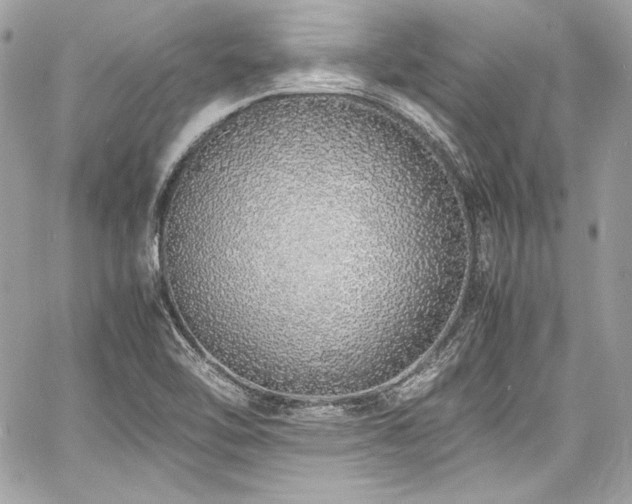 X0000060751462200511101103