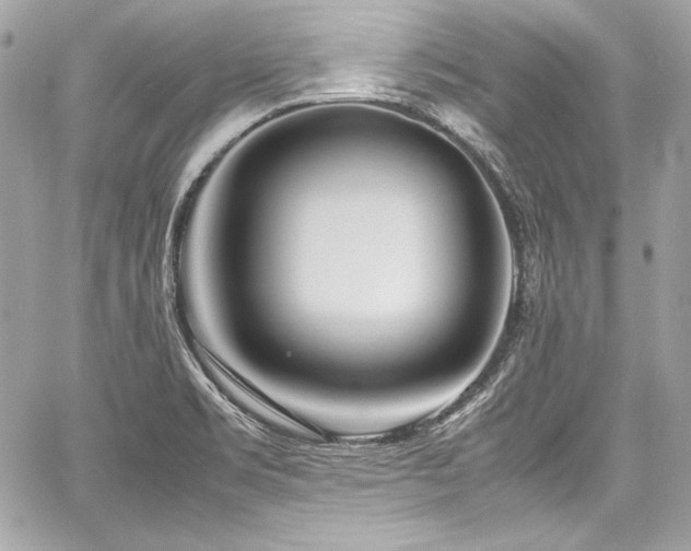 X0000060751469200511101103