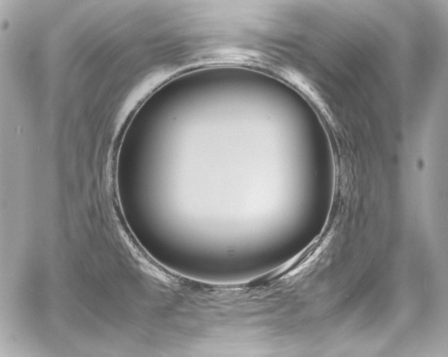 X0000060751477200511101103