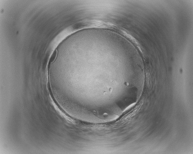 X0000060751479200511101102
