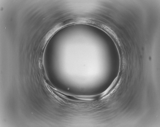 X0000060751481200511101102