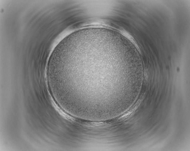 X0000060751482200511101102