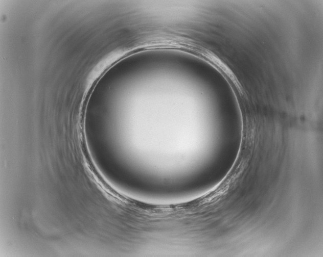 X0000060751485200511101102