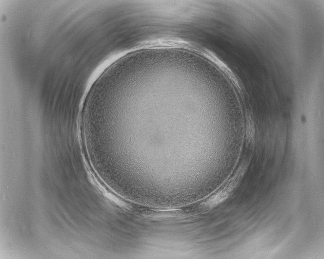 X0000060751486200511101102