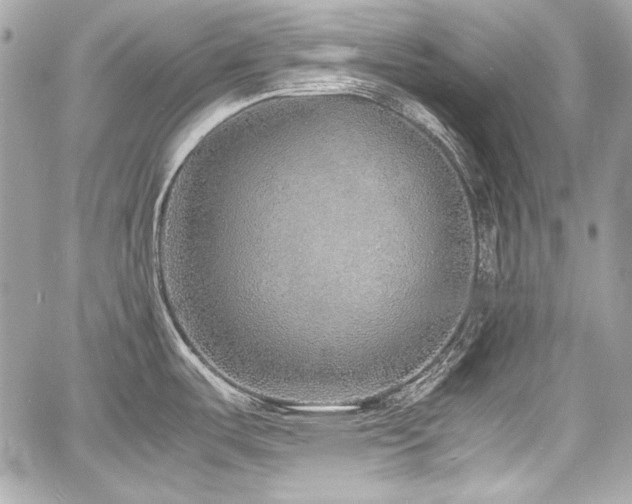 X0000060751487200511101102